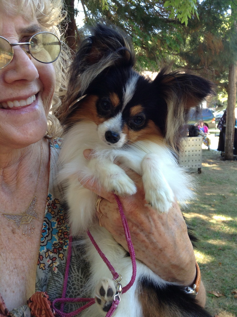 Road's End Papillons Brownsville, OR, Eugene Kennel Club