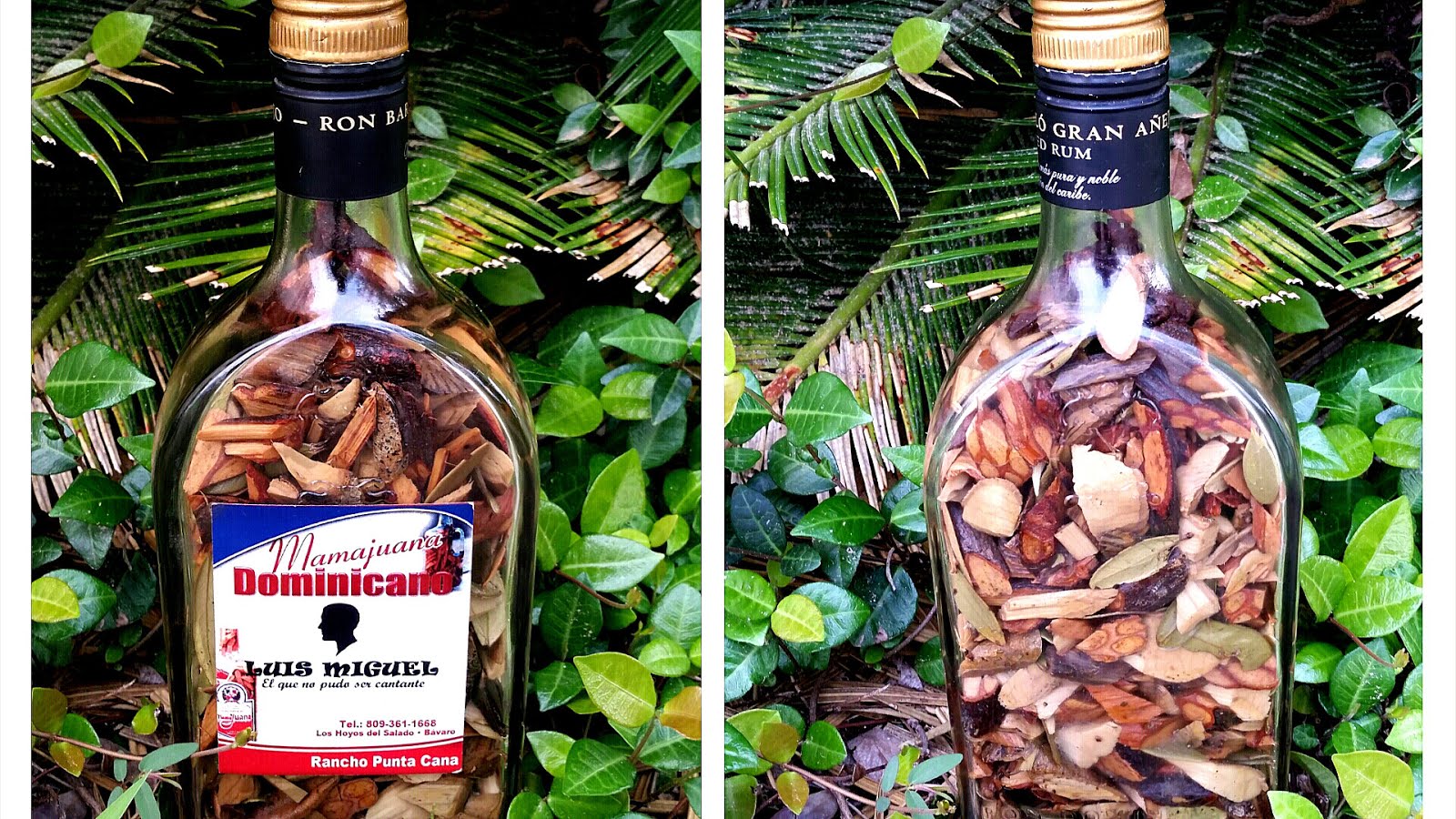 candela mamajuana rum candela mamajuana rum