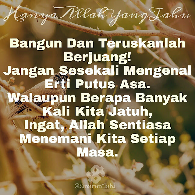 kata-kata-mutiara-quotes-islamik-SinaranIlahi-4 kata-kata-mutiara-quotes-islamik-SinaranIlahi-4