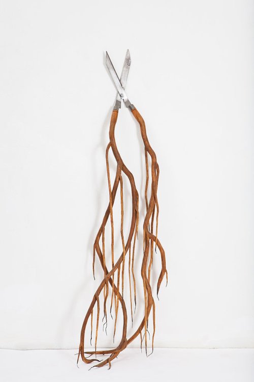 Camille Kachani arte surreal esculturas objetos de madeira com brotos galhos raízes de árvores