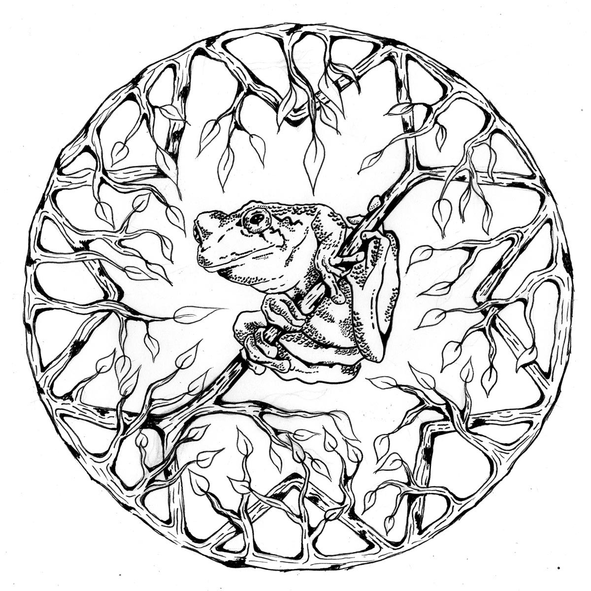 Animal Mandalas Imagui Animal Mandalas Imagui