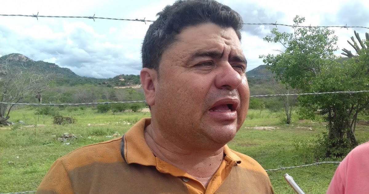 Resultado de imagem para firoca jataúba