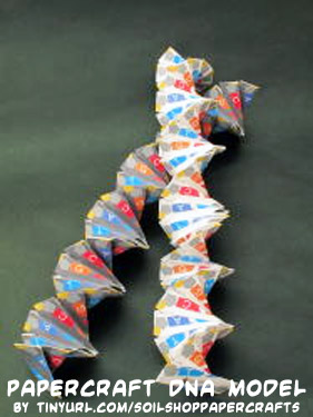 Paper on dna
