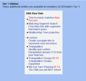 The Blundering DNA Genealogist: Basics: Generations Are Calculated  Differently at GEDmatch and Viewing Trees