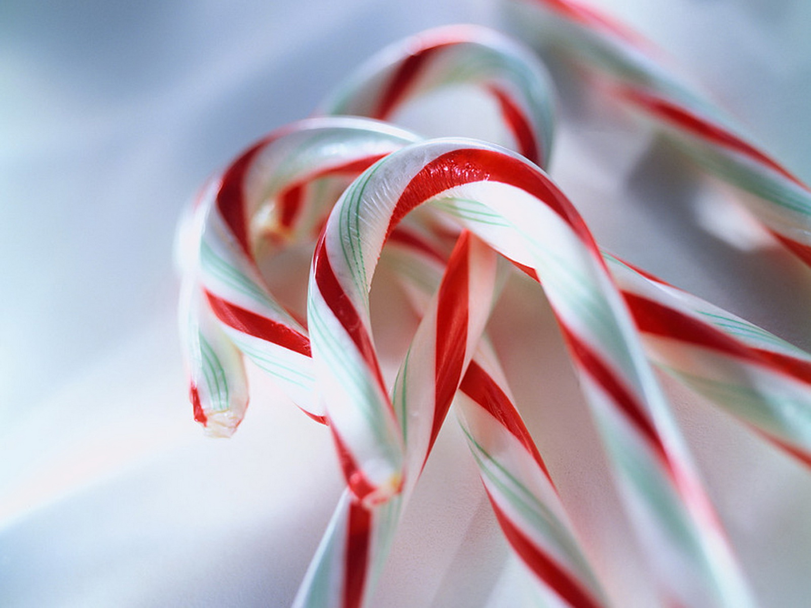 Free Download Yummy Candy Cane Wallpaper Wallpapers Area