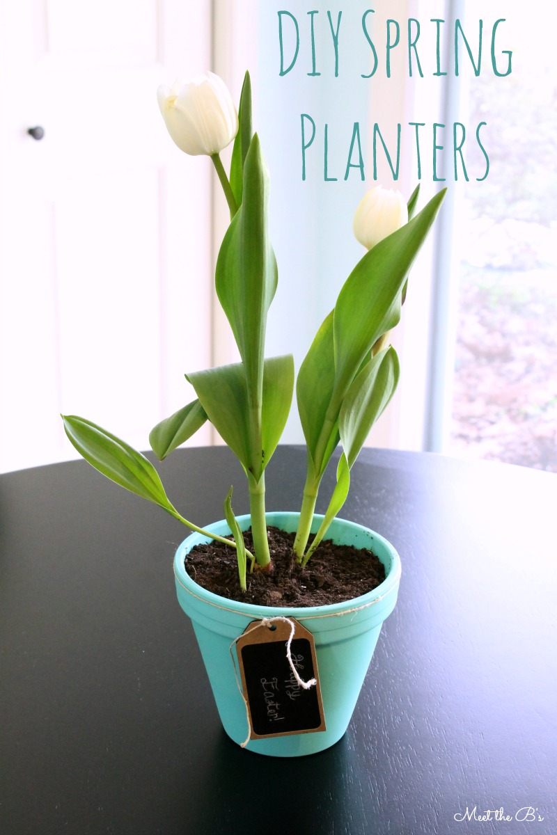 DIY Spring Tulip Planter Easter Gift Idea