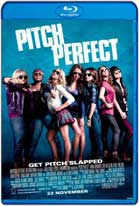 Pitch Perfect (2012) HD 720p Subtitulados