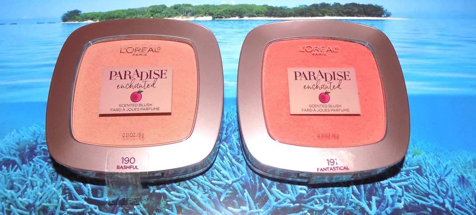 The Beauty Alchemist: L'Oreal Paradise Enchanted Powder Blush