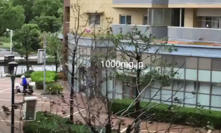 1.gif