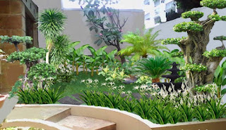 49 Desain Taman dan Kolam Untuk Halaman Rumah Minimalis gambar halaman rumah minimalis sederhana