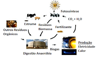 Ciclo de produção de energia a partir de diferentes fontes de biomassa ciclo de produção de energia a partir de diferentes fontes de biomassa