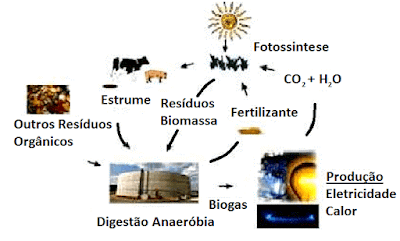 ciclo produção energia fonte renovavek biomassa