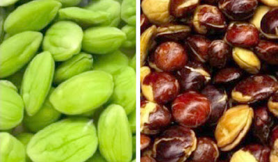 Minuman-yang-harus-dihindari-setelah-makan-petay-dan-jengkol_050577.jpg makan-petay-dan-jengkol_050577.jpg