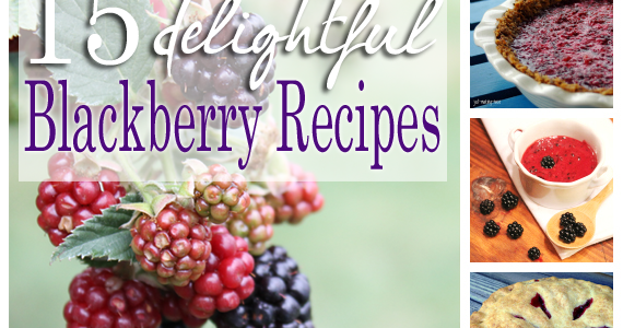 15 Delightful Blackberry Recipes - Creative Green Living