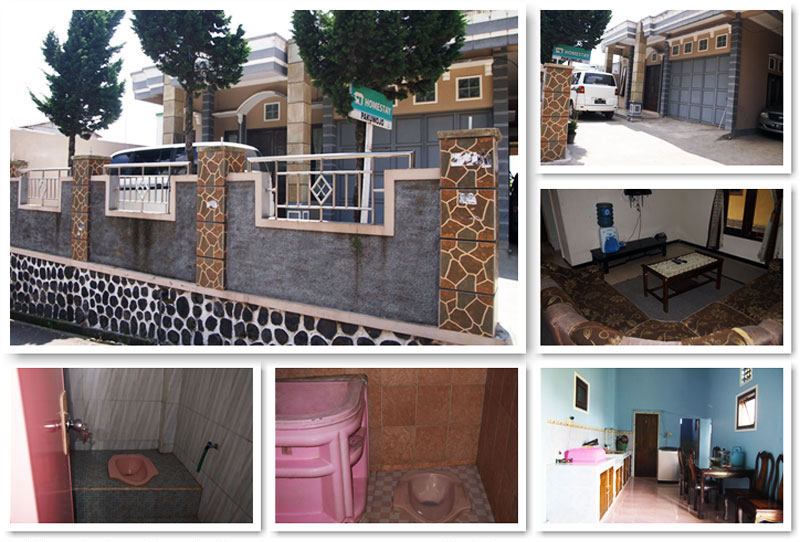 Homestay Sikunir Homestay Sikunir