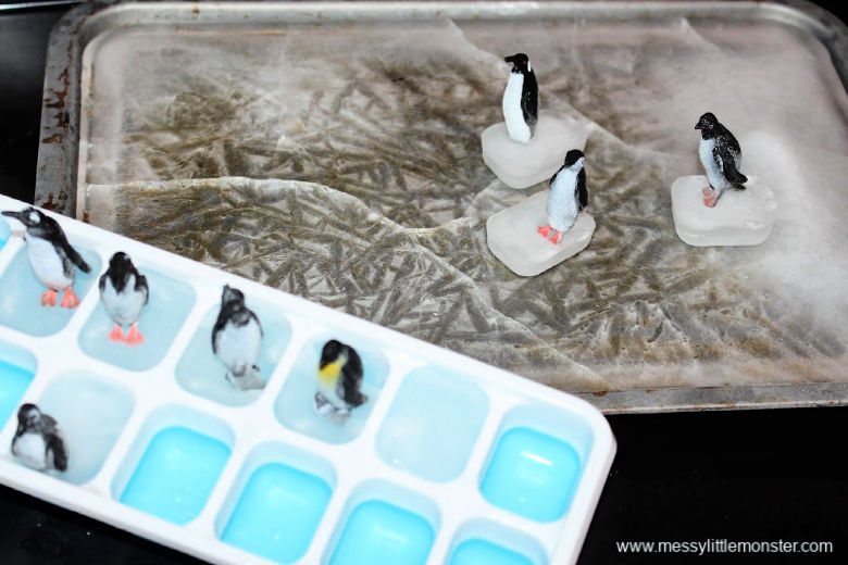 diy ice rink for penguins