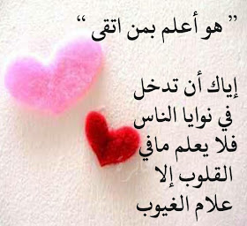 b5a46111f6ec254590fb24ca5c7366d2