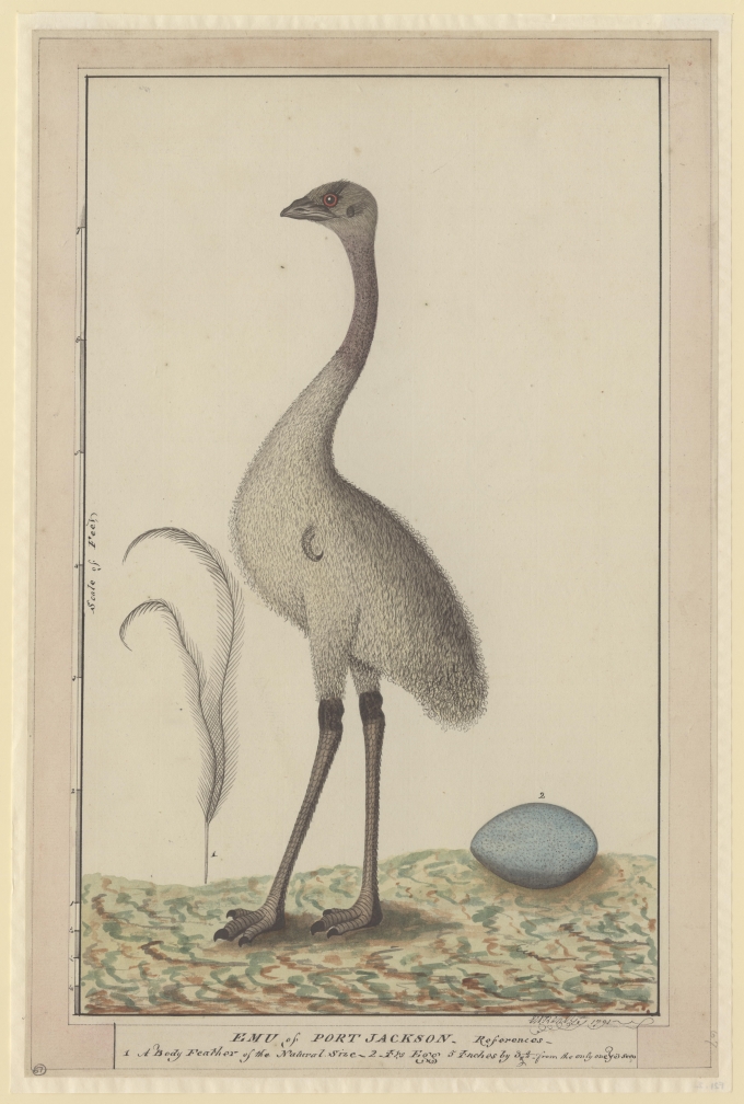 George Raper - Alchetron, The Free Social Encyclopedia