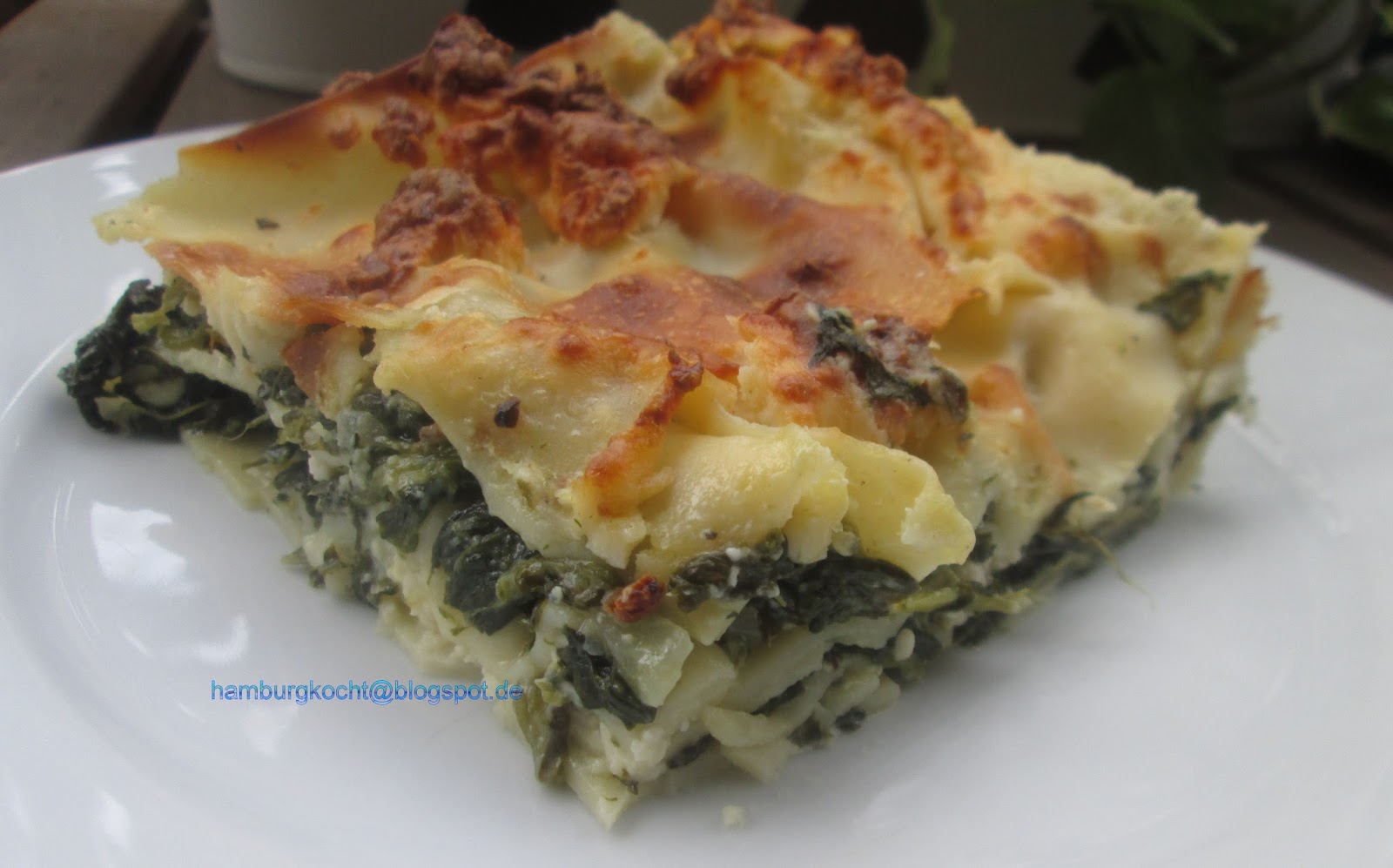 Hamburg kocht!: Kochen ohne Tüte: Spinat-Schafskäse-Lasagne