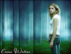 hermione watson emma granger potter harry wallpapers background fanpop movies actress wallpapersafari