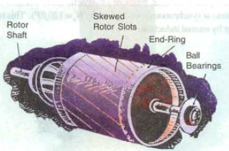 skewing-in-rotor