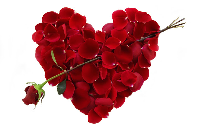 beautiful rose day picture for whats app beautiful rose day gif image for whatsapp status