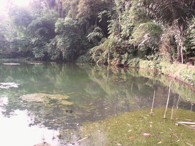 SEJARAH BALONG SIRAH JEUNG CISEWU