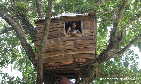Casa de madera en copa de un árbol