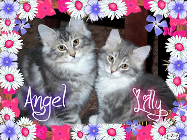 Angel and Lilly