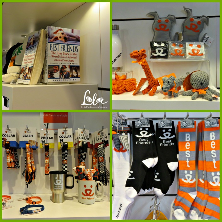 A Behind the Scenes Peek at Best Friends' NYC Pet Adoption Center