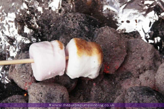 Roasted Marshmallows at The Purple Pumpkin Blog