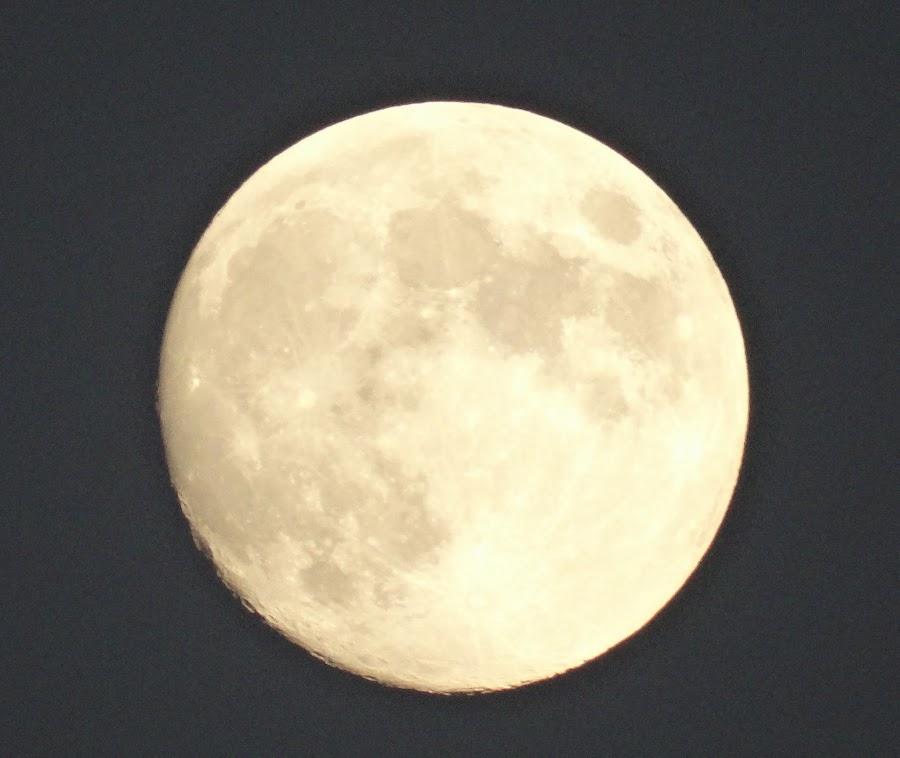 LUNA LLENA