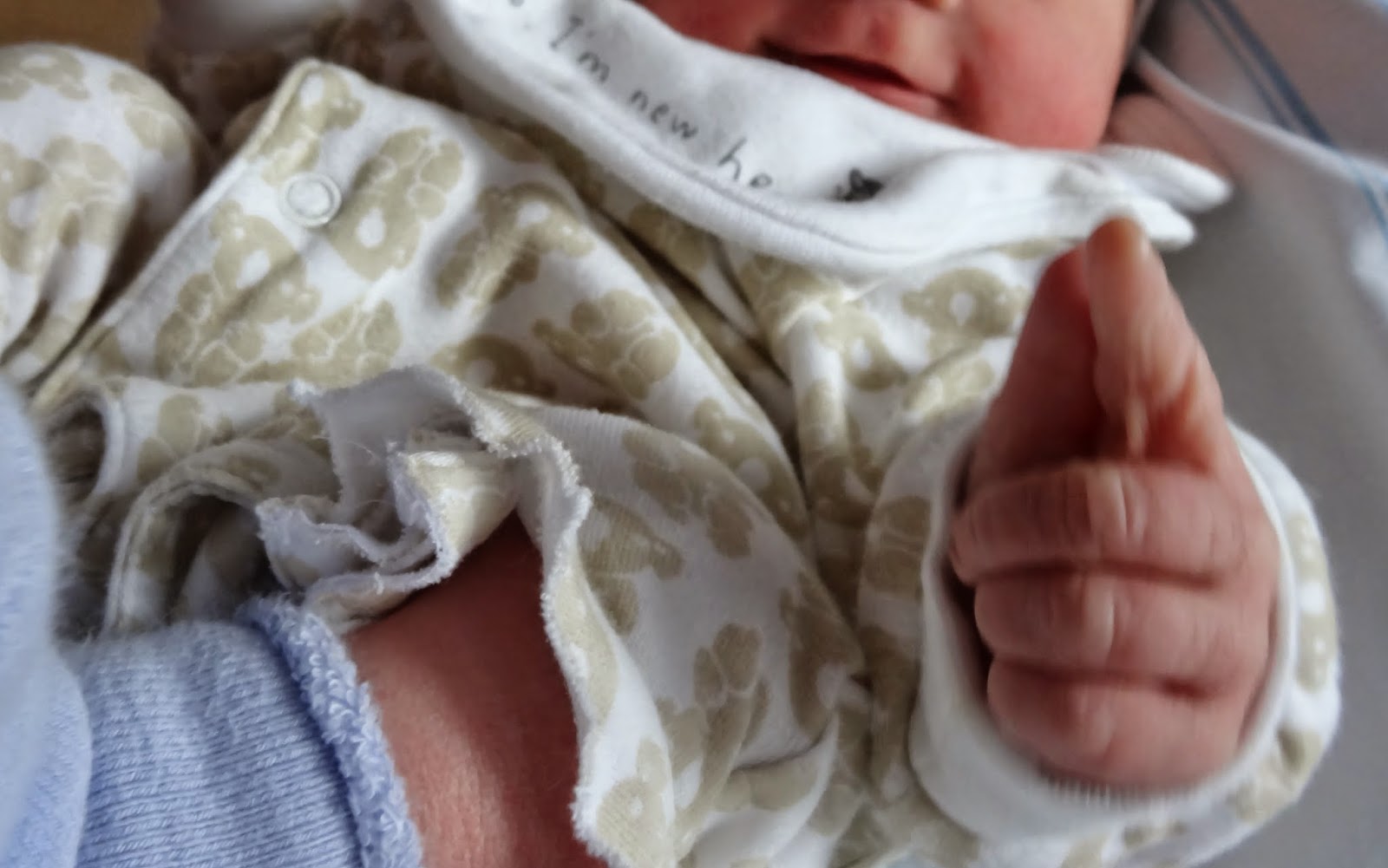 n%C3%A4r+smilla+kom+till+v%C3%A4rlden+(6) - När Smilla kom till världen