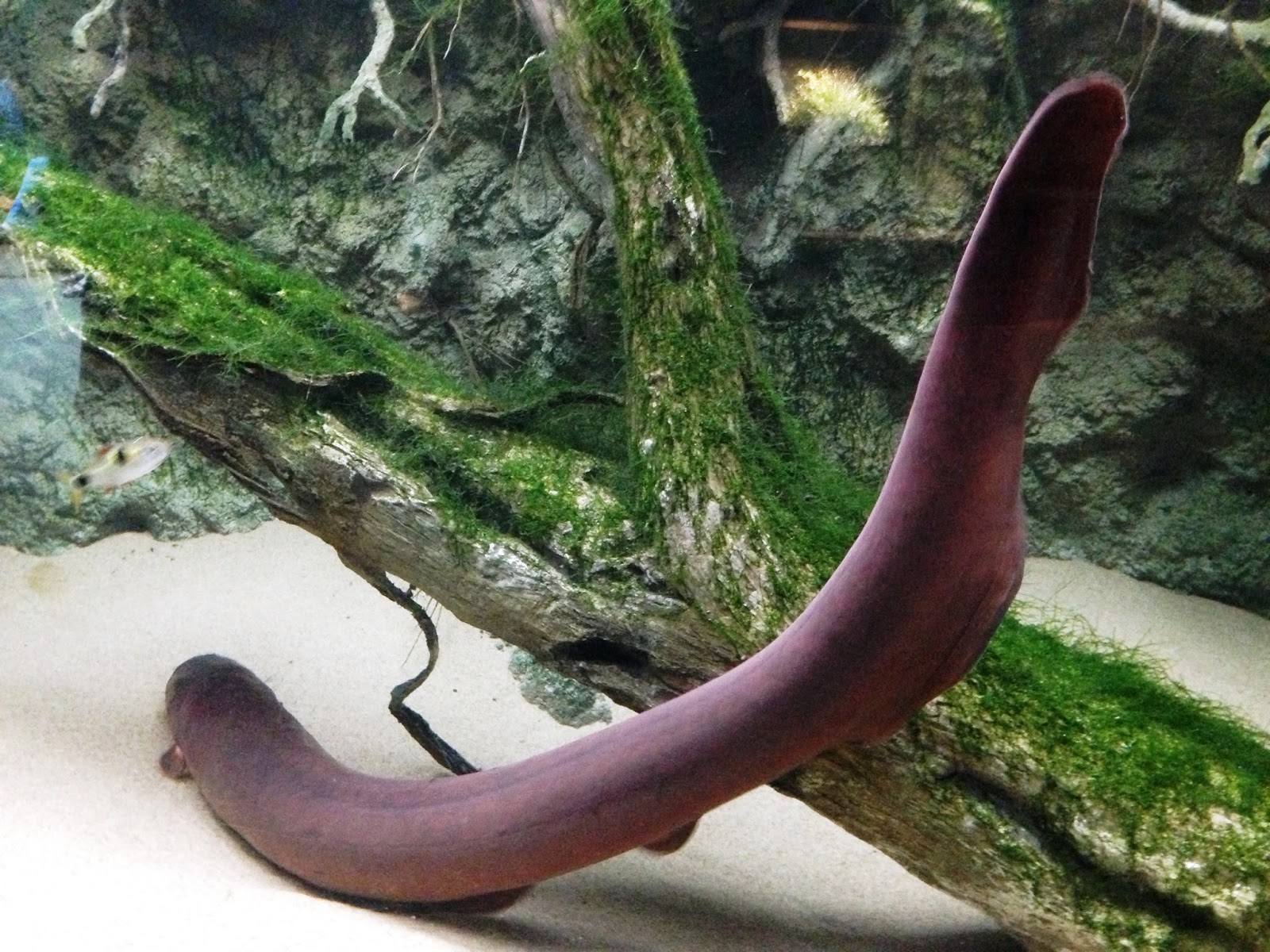 harishankar.writer Bermuda Triangle…यहां जो आया वापिस नहीं गया!