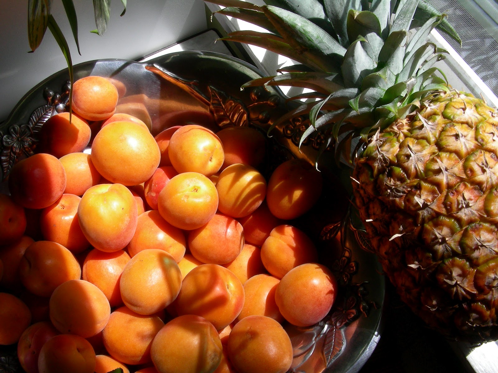 Susan Can Cook Apricot and Pineapple Jam