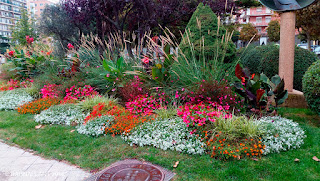 Solución Floral de Arribas Center-Barnaplant en antiguo Banco de España Huesca