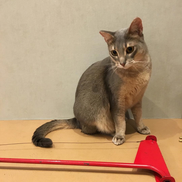 %25ED%2581%25AC%25EA%25B8%25B0%25EB%25B3