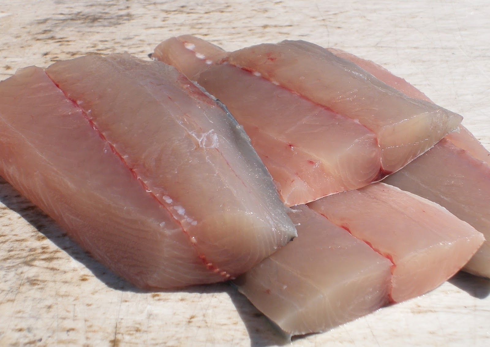 Mackerel Canned Fish, Mackerel Tomato Sauce, Mackerel Tin Fish, Price