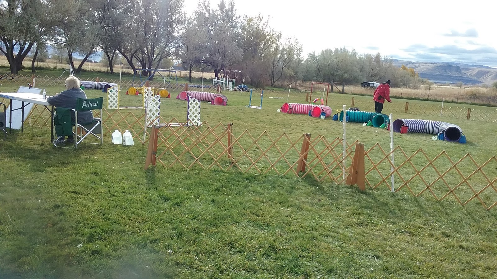 Idaho PugRanch A Tea Cup Weekend