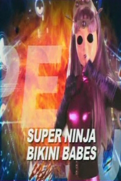 Ninja Bikini Babe 90
