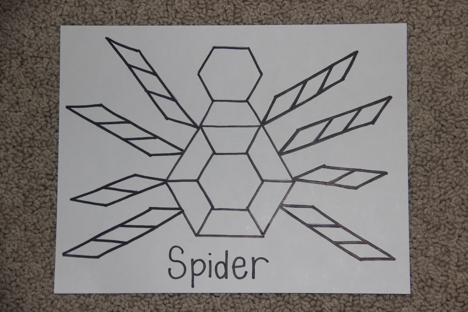Spider pattern book report 06 picture