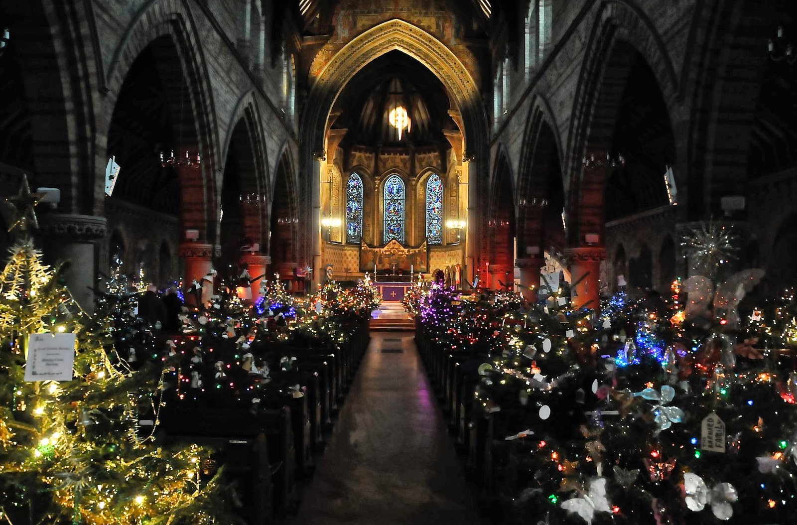 Arthur Pewty's maggot sandwich The Christmas Tree Festival.
