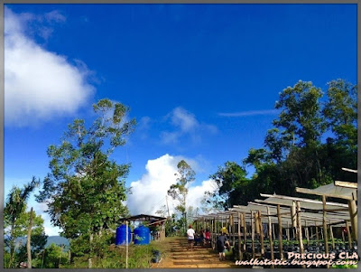 Aki-Odu Garden, Pekan Nabalu, SABAH Aki-Odu Garden, Pekan Nabalu, SABAH
