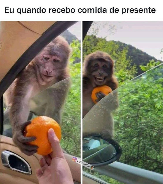 Memes engraçados Memes engraçados