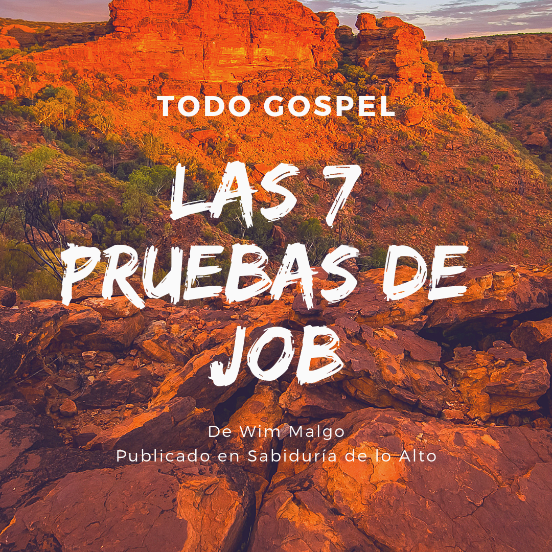 Que Dice El Libro De Job En La Biblia Libro Gratis
