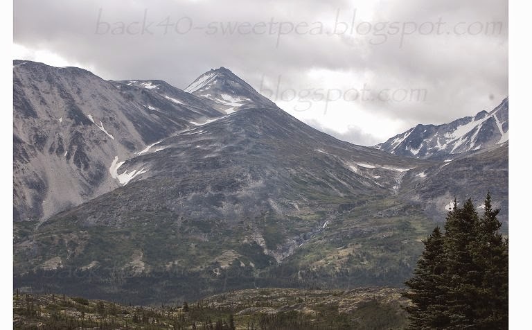 From Mountain top to Valley Photo by Trisha Field