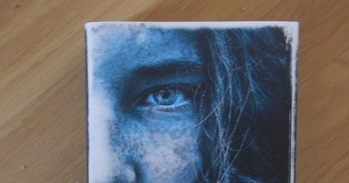 Justin Cronin Die Spiegelstadt