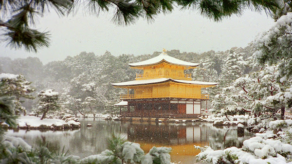 Statistik Tim Nasional Sepak Bola Jepang vs Timnas Indonesia Terkini 2024