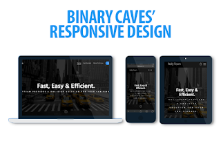 Binary Caves Fastest Growing Web Company in India