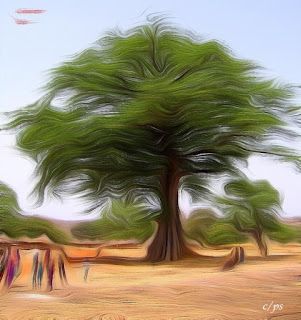 Bäume, trees, cây cối, bome, pemë, Zuhaitzak, Drveće, Дървета Die kraft der Bäume, the power of trees